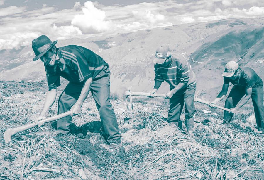 Régimen promocional agrario recibe apoyo de minifundistas