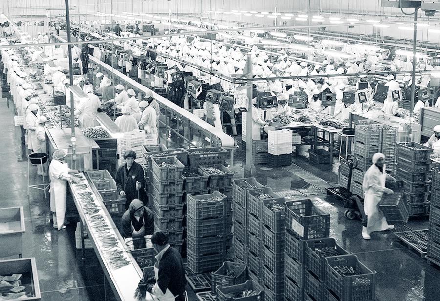 Consecuencias de eliminar la flexibilidad laboral en el agro