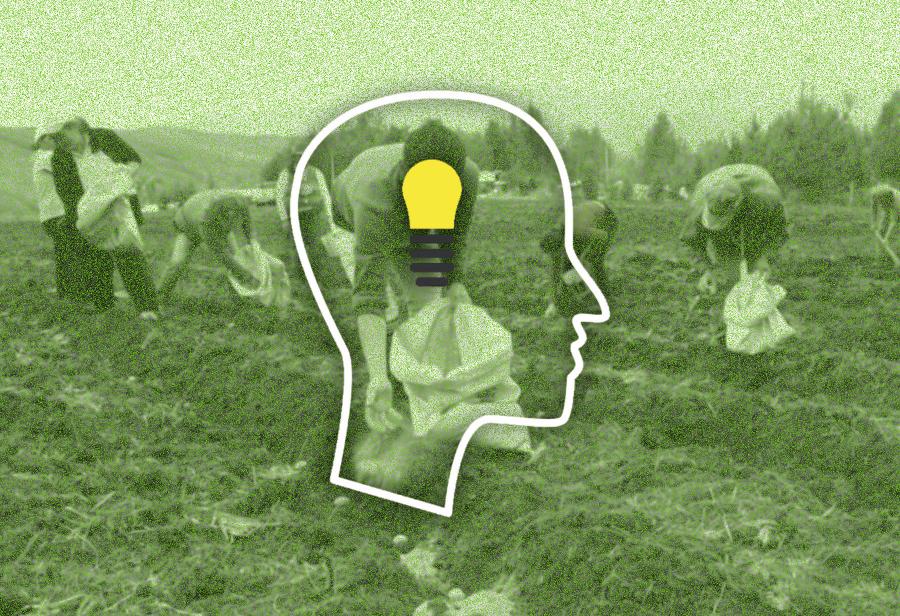 El Estado burocrático, el camino amable al socialismo y la pobreza