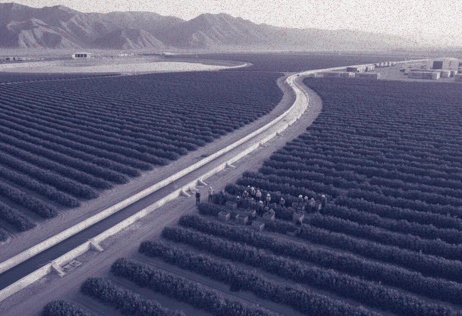 El boom agroexportador, los modelos del sudeste asi&aacute;tico y la sustituci&oacute;n de importaciones