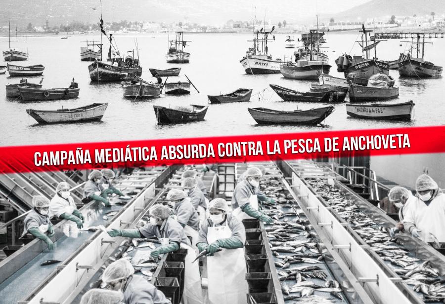 Campaña mediática absurda contra la pesca de anchoveta