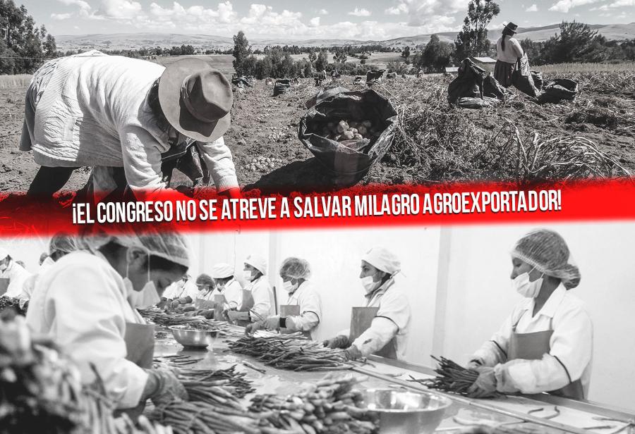 ¡El Congreso no se atreve a salvar milagro agroexportador!