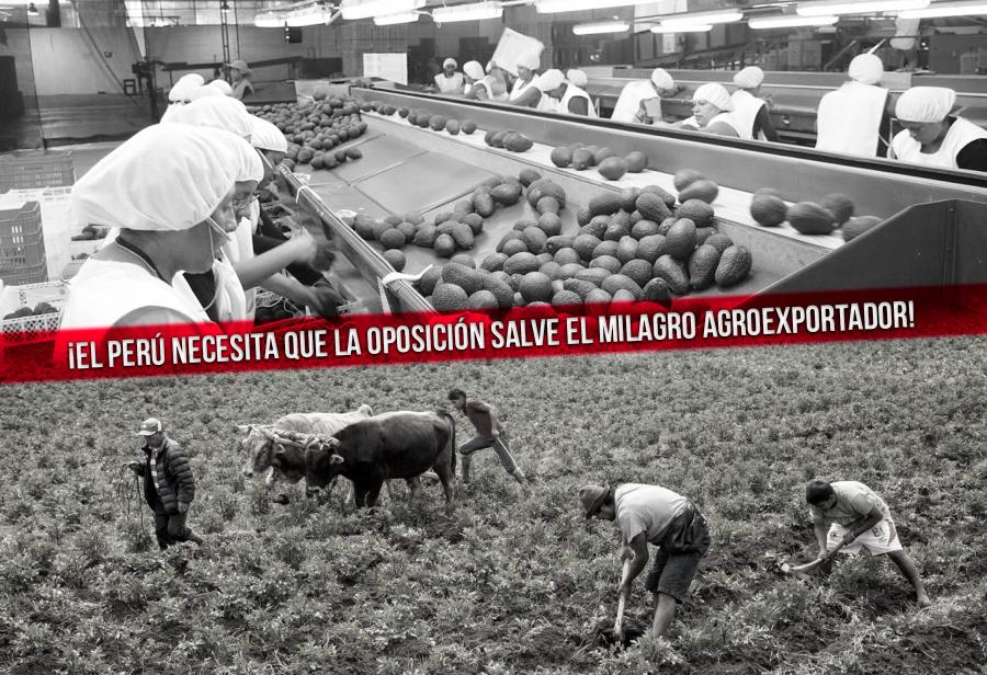 ¡El Perú necesita que la oposición salve el milagro agroexportador!