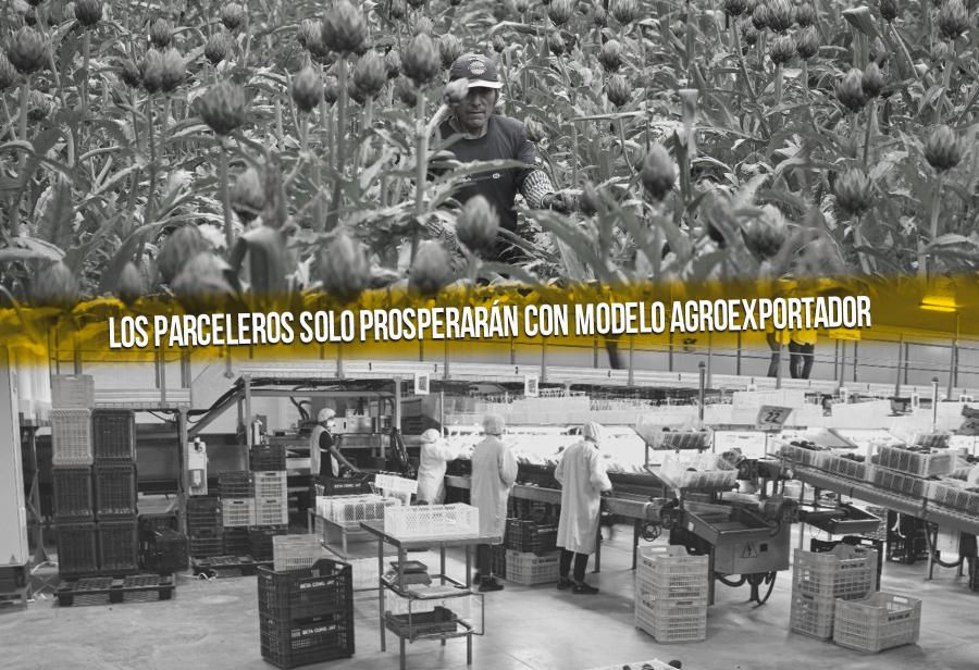 Los parceleros solo prosperarán con modelo agroexportador