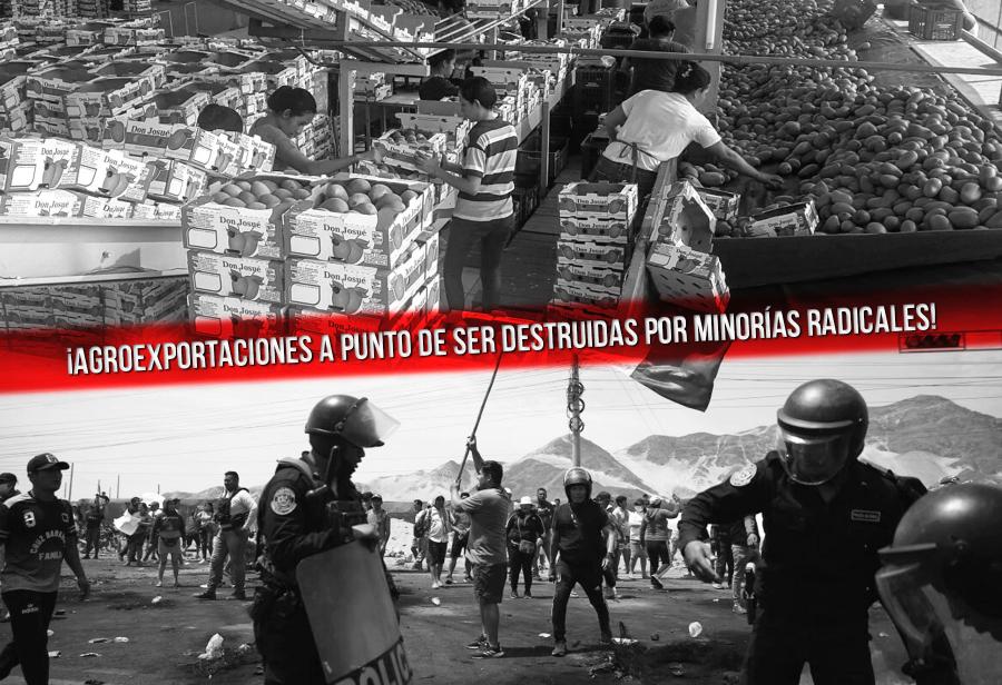 ¡Agroexportaciones a punto de ser destruidas por minorías radicales!