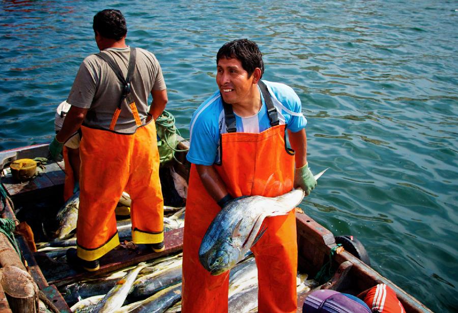 Pesca peruana con buen viento