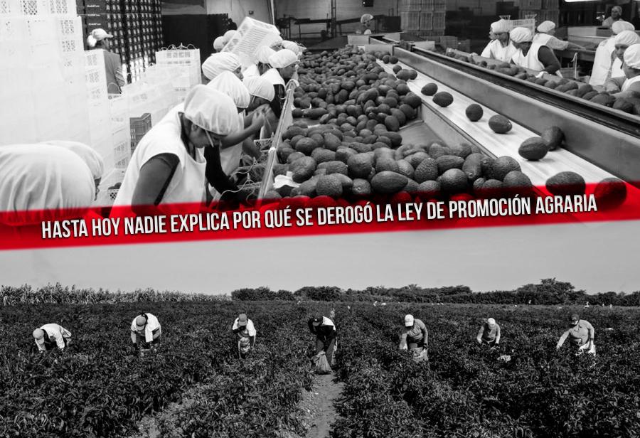 Hasta hoy nadie explica por qué se derogó la Ley de Promoción Agraria