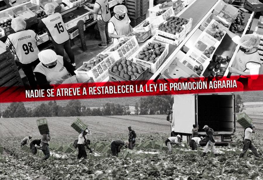 Nadie se atreve a restablecer la Ley de Promoción Agraria