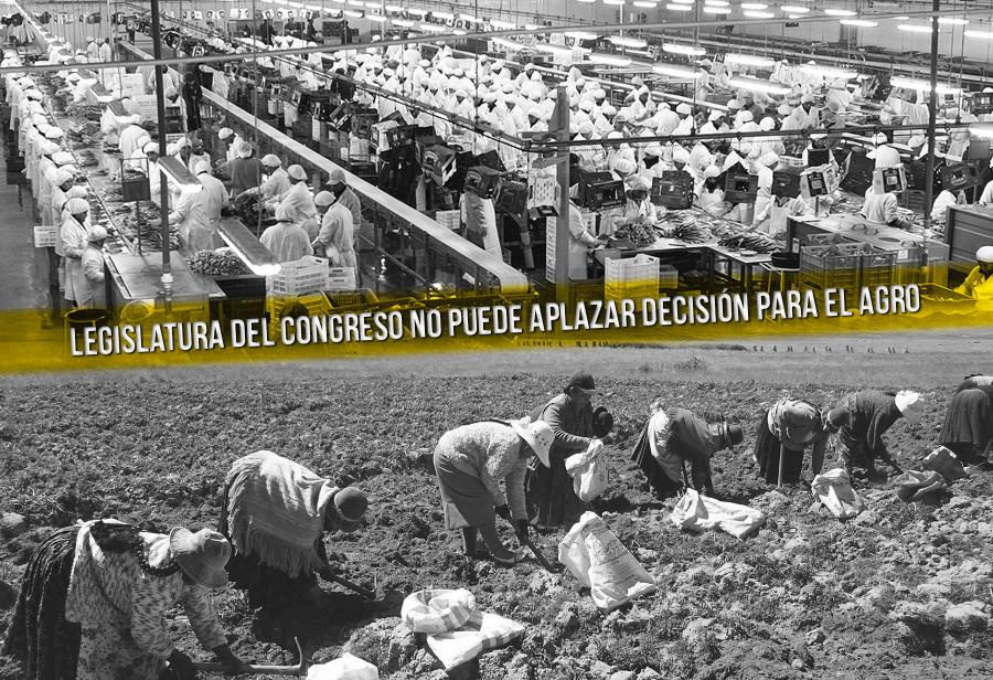 Cien mil nuevas hectáreas para agroexportaciones restableciendo vigencia de Ley de Promoción Agraria