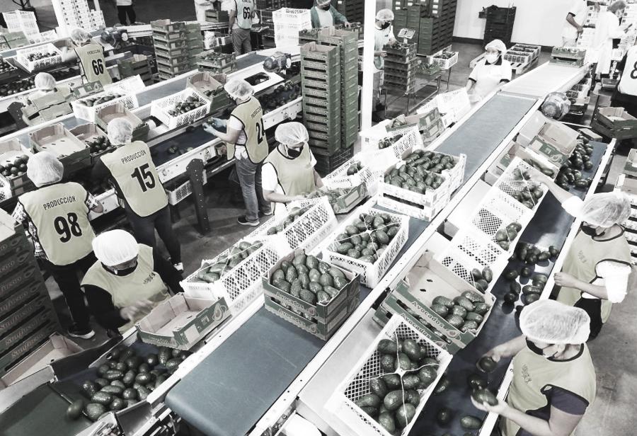 Relanzar agroexportaciones en el 2024 para relanzar el crecimiento