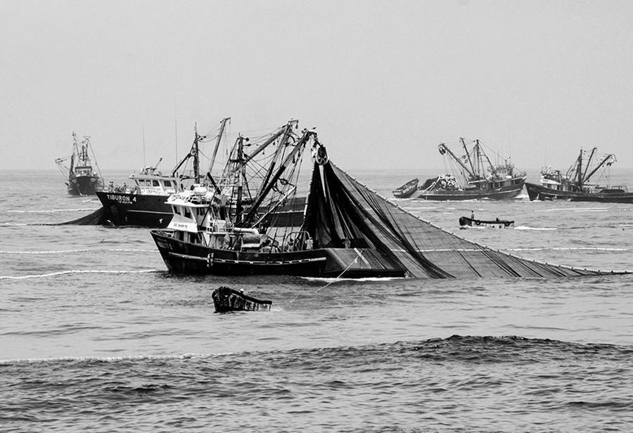 La industria pesquera amenazada por el ecologismo radical