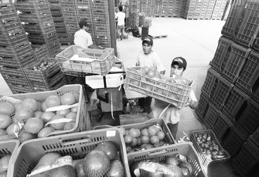 Promover inversiones en el agro para salvar al Perú