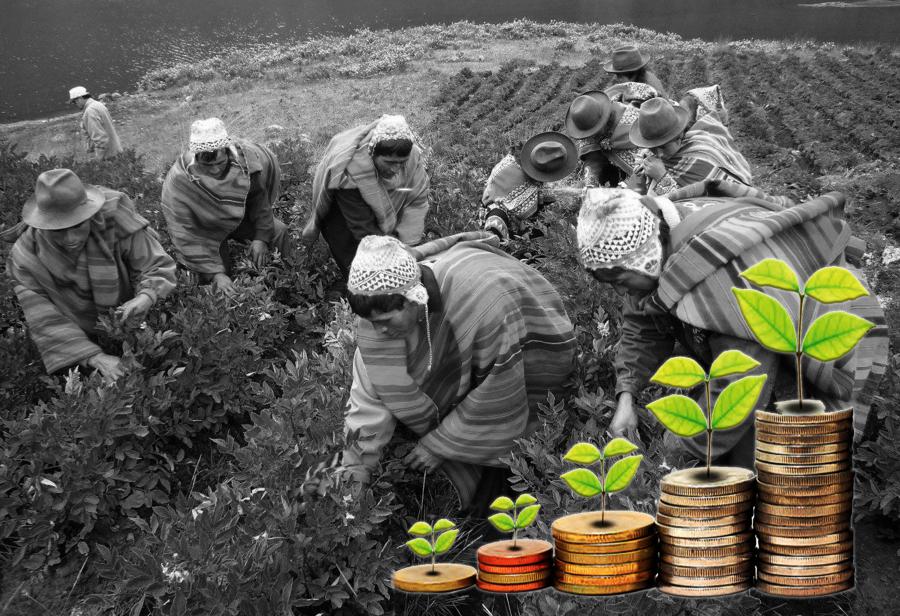 ¡Inversiones agrarias para reducir pobreza!