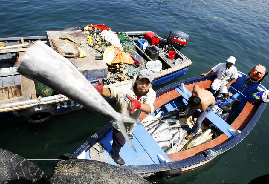 Pescadores no temen inversiones en hidrocarburos