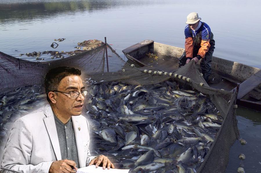 Ataque a la industria pesquera