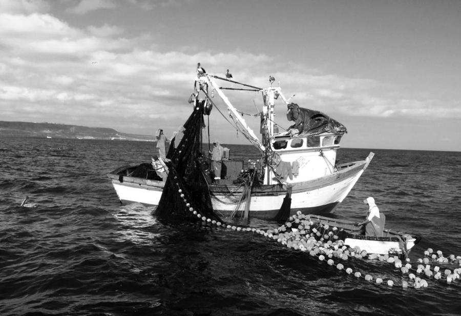¡Pesca artesanal en peligro!