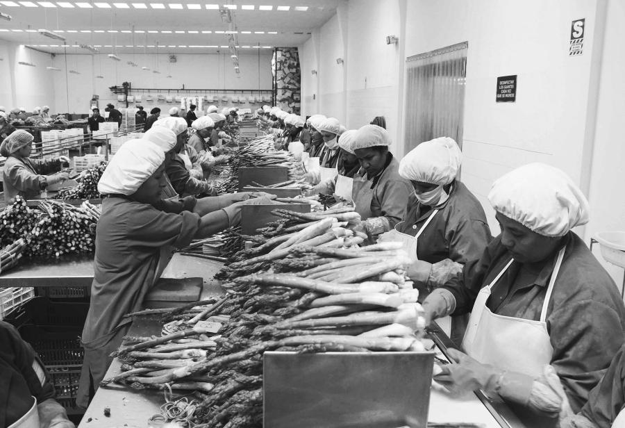 Boicot contra agroexportaciones