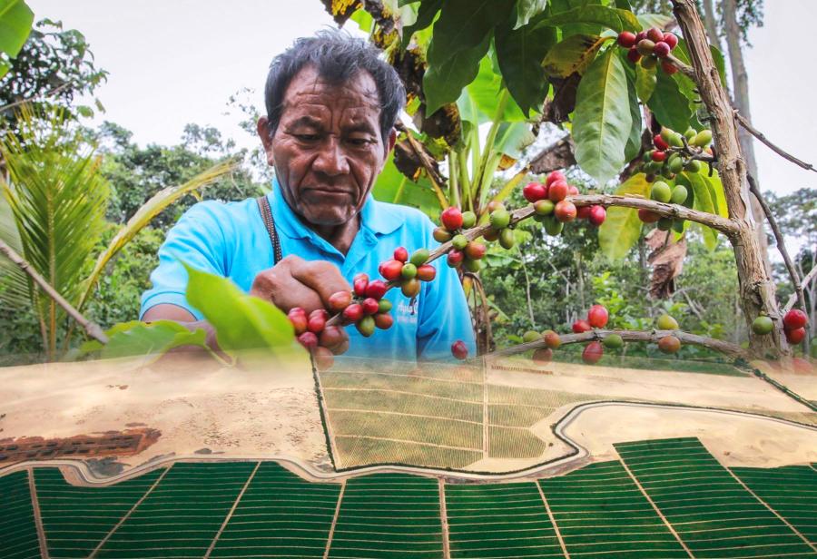 Majes Siguas II: agroexportación para Arequipa