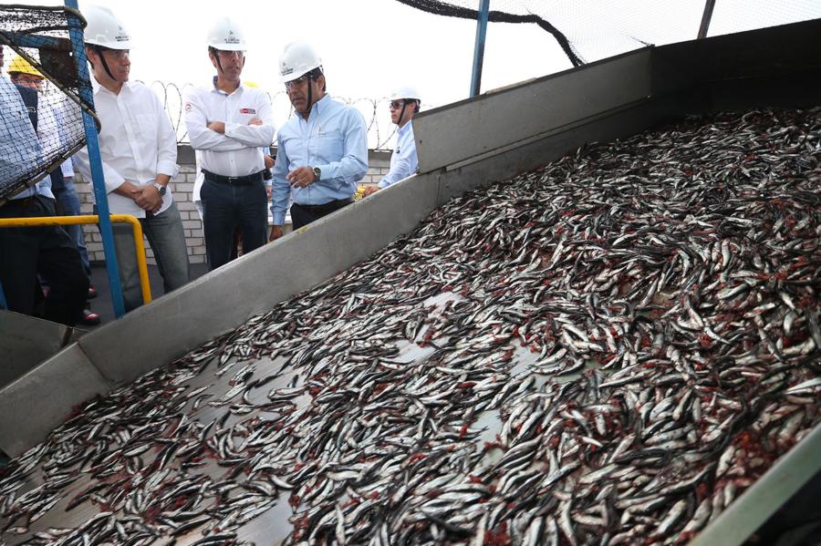 La pesca industrial otra vez bajo ataque  