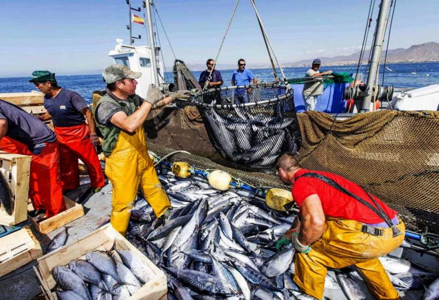 Pesca peruana: viento en popa