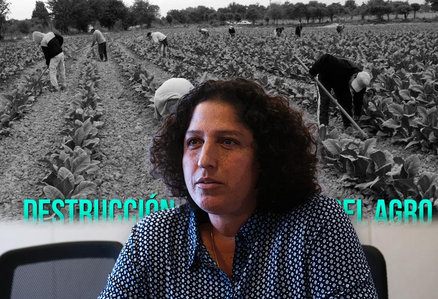 Más Estado y más minifundio destruyen agro