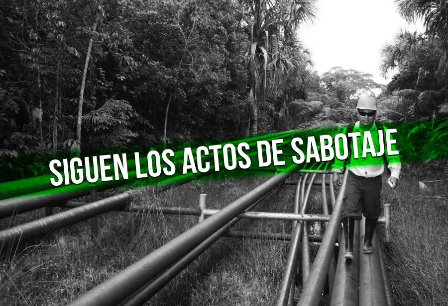 ¿Qué pasa en la selva petrolera?