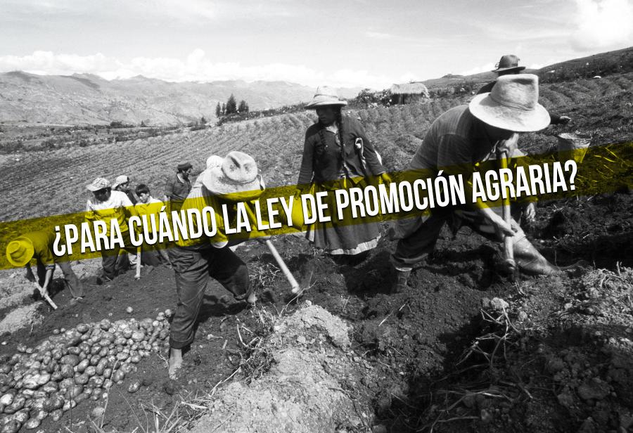 ¿Para cuándo la Ley de Promoción Agraria?