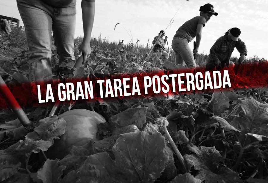 El campo: la gran tarea postergada