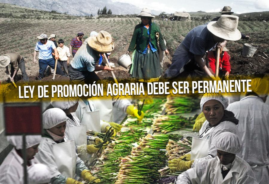 Ley de Promoción Agraria debe ser permanente