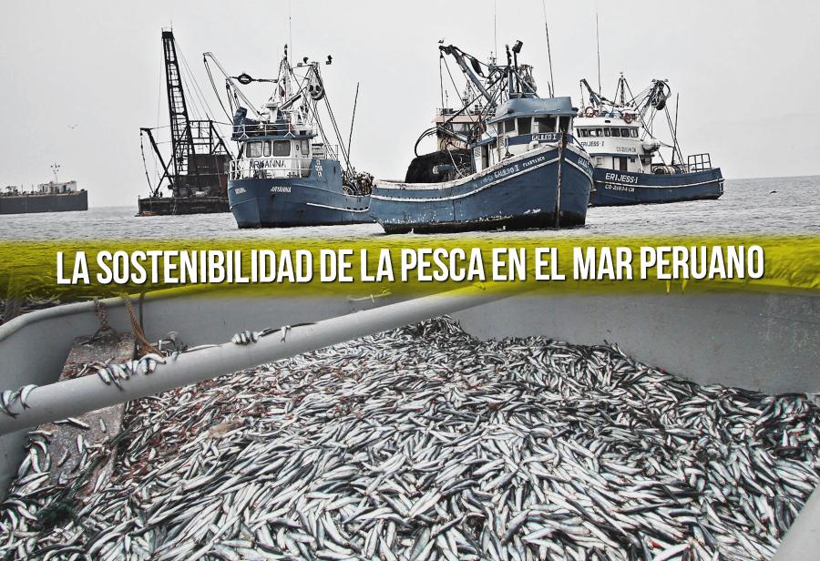 La sostenibilidad de la pesca en el mar peruano