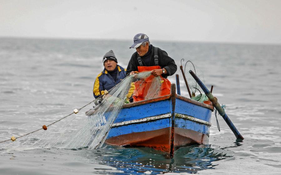 Perú formaliza su pesca artesanal