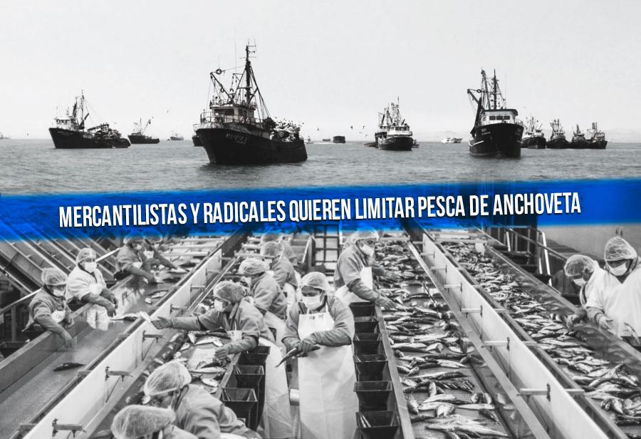 Mercantilistas y radicales quieren limitar pesca de anchoveta