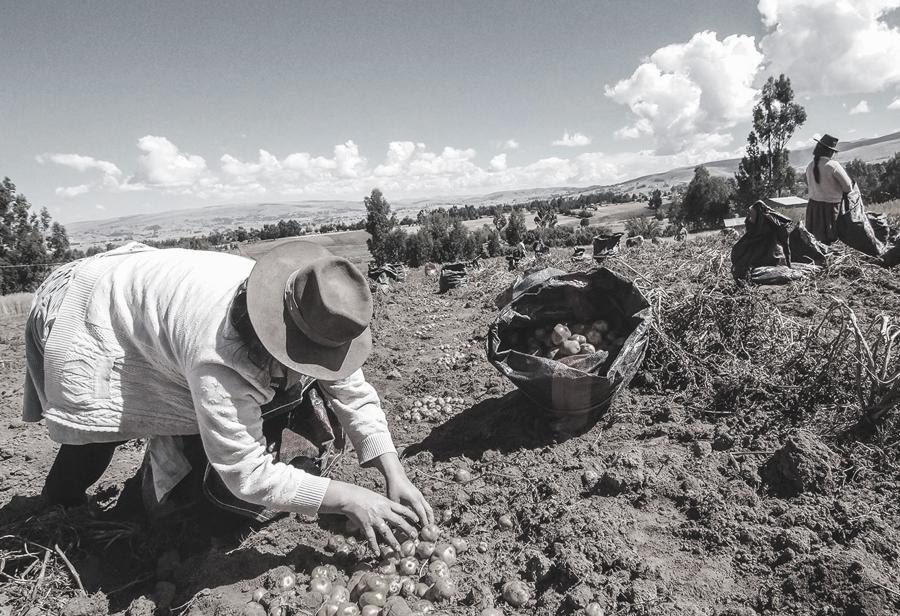 El incremento del sueldo mínimo y la destrucción del agro nacional