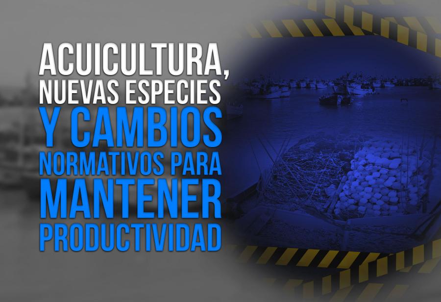 ¡Segunda temporada de pesca y reformas para enfrentar la recesión!