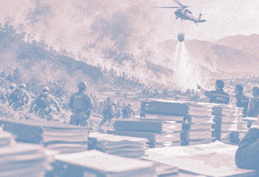 &iexcl;Los incendios forestales confirman el brutal fracaso de la descentralizaci&oacute;n!