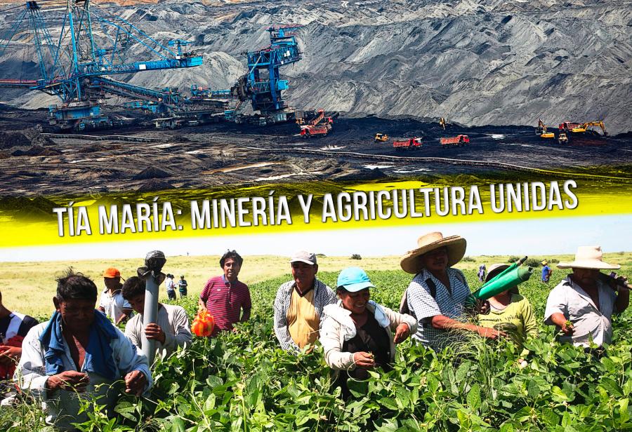 Tía María: minería y agricultura unidas