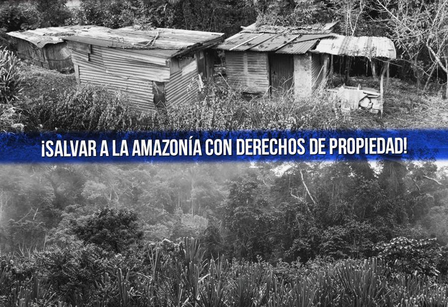 ¡Salvar a la Amazonía con derechos de propiedad!