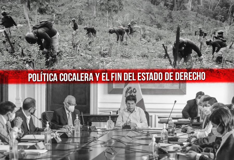 Política cocalera y el fin del Estado de derecho