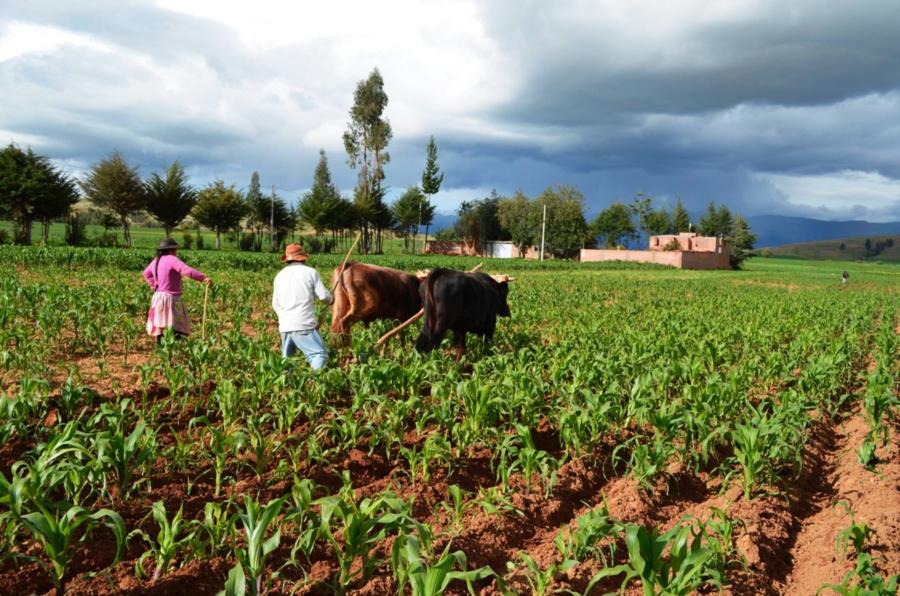 Junín: la clase media agroexportadora