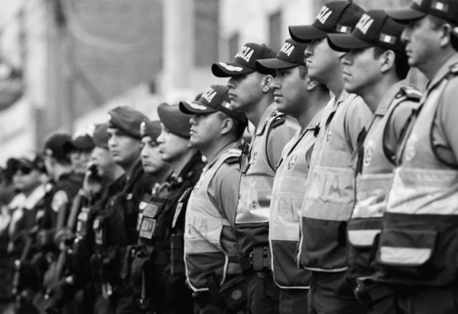 La función policial en la democracia peruana