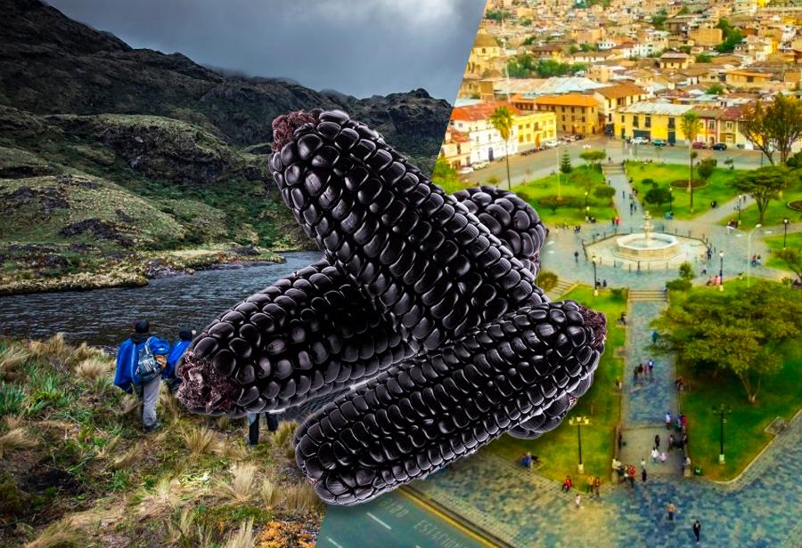 Cajamarca: mirar más allá del maíz morado