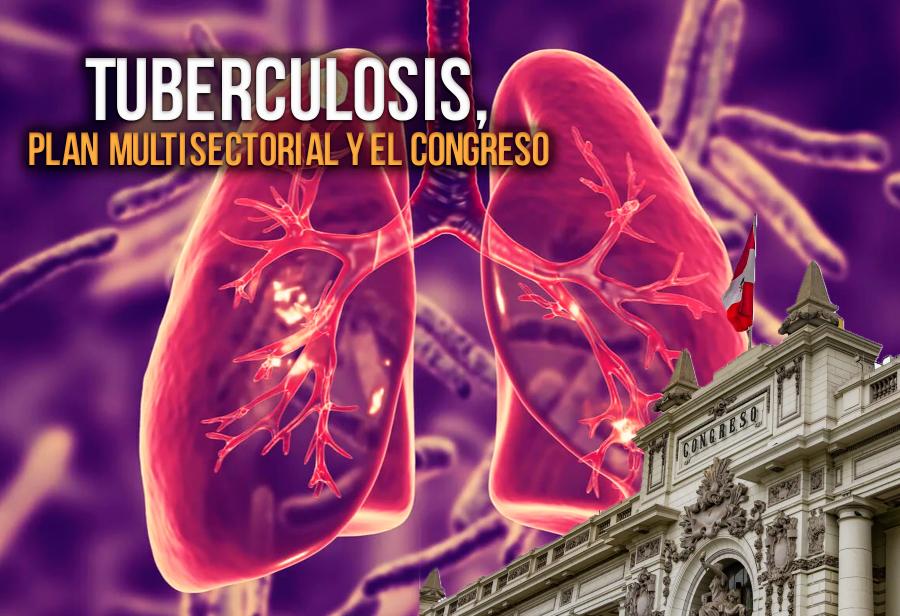 Tuberculosis, Plan Multisectorial y el Congreso