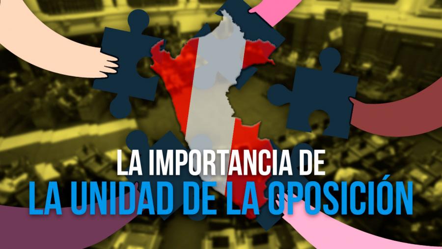 La importancia de la unidad de la oposición | EL MONTONERO