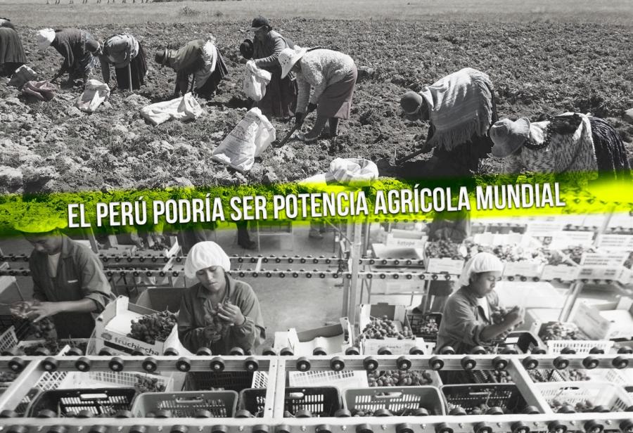 El Perú podría ser potencia agrícola mundial