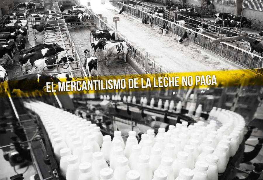 El mercantilismo de la leche no paga