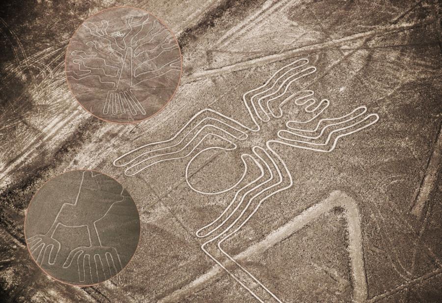 ¿Qué motiva la reducción del área polígona de las líneas de Nazca?