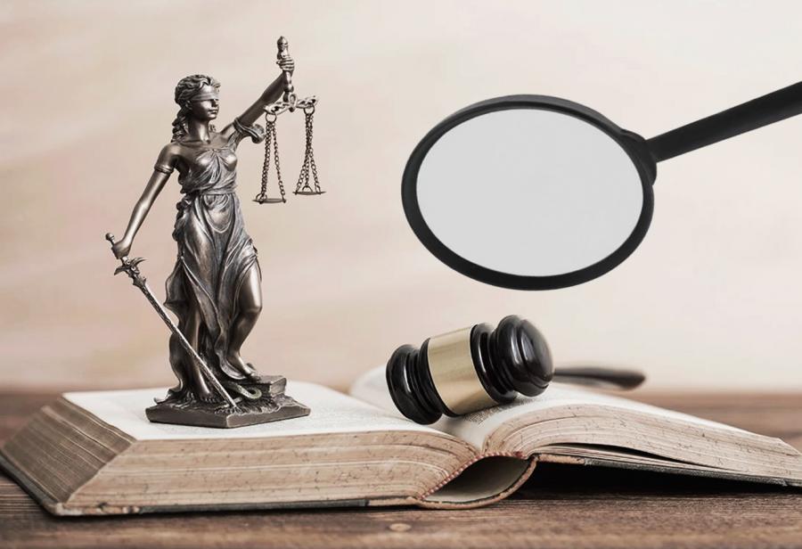 ¿Se interpretan igual la parte dogmática y la orgánica en una Constitución?