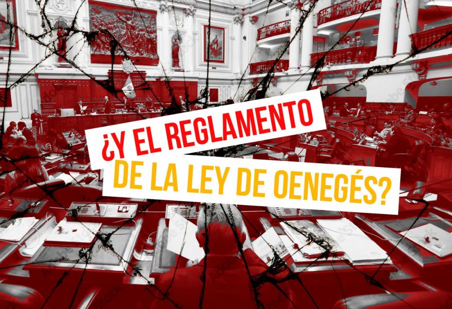 ¿Y el reglamento de la ley de oenegés? ¿Qué pasa?