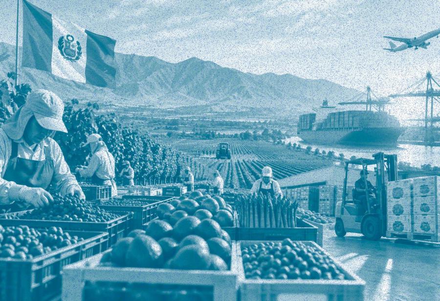 &iexcl;Ratificando el sue&ntilde;o agroexportador del Per&uacute;!